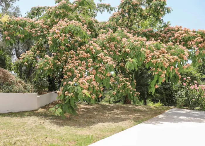 Zorbas Family House 3* Troulos