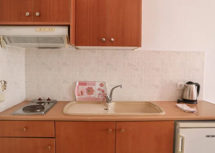 Hotel Zorbas Family House Troulos