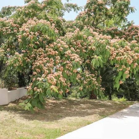 Zorbas Family House 3* Troulos