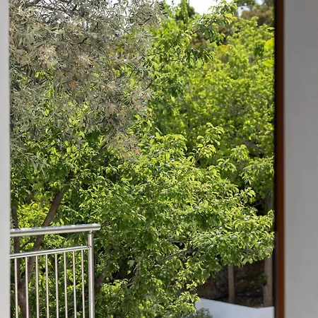 Zorbas Family House Hotel
