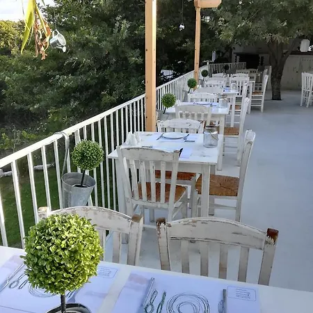 Zorbas Family House Hotel Troulos